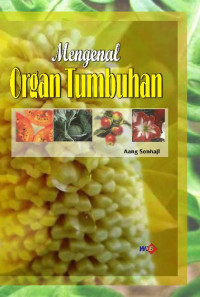 Image of Mengenal Organ Tumbuhan