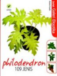 Image of Philodendron 109 Jenis