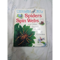 Image of Spiders Spin Webs