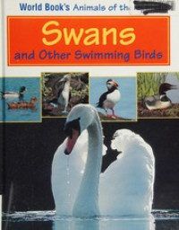 Image of Swans and Other Swimming Birds
