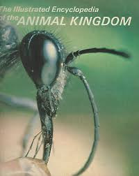 Image of The Illustrated Encyclopedia of The Animal Kingdom 14