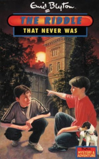 Image of The Riddle That Never Was